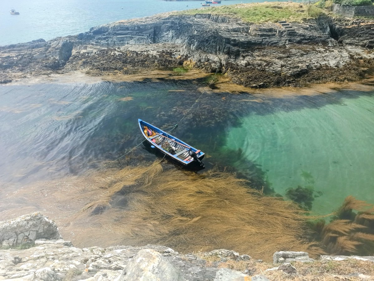 Small boat floating in a turquoise cove, kelp and rock visible through the water